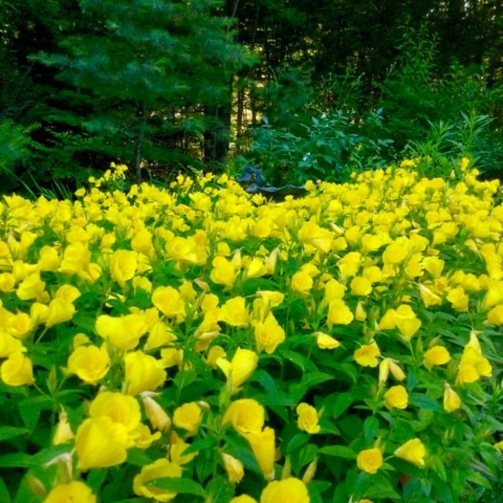 Meet your Posher, Margaret